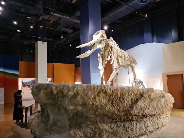 National Museum of Saudi Arabia