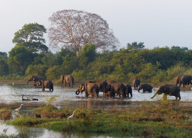 Pendjari National Park