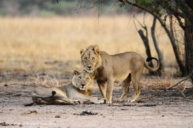 Pendjari National Park