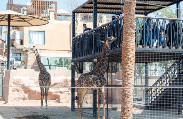 Riyadh Zoo