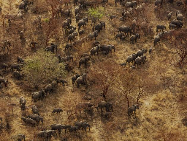 Zakouma National Park