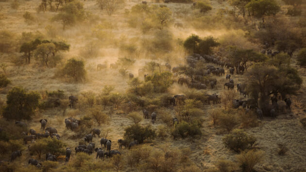 Zakouma National Park