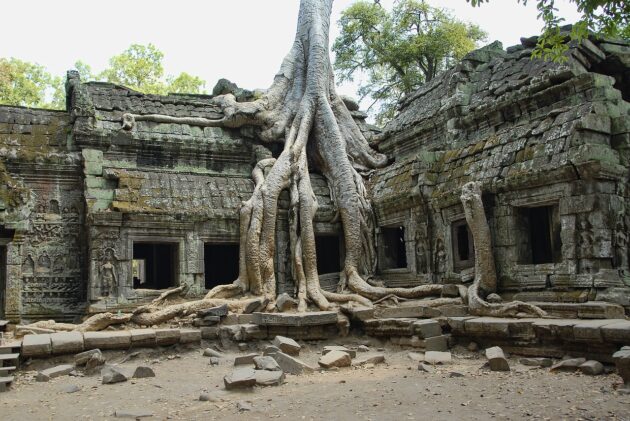 Angkor Archaeological Park