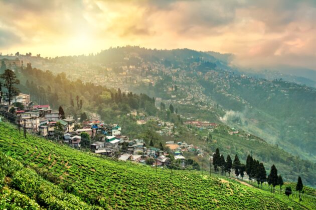 Darjeeling
