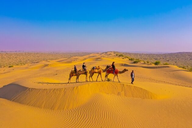 Desert Safari