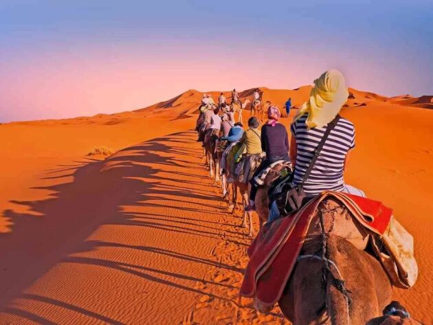Desert Safari