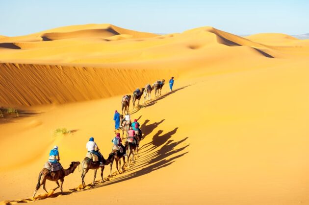 Desert Safari