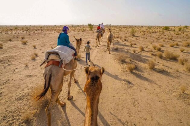 Desert Safari