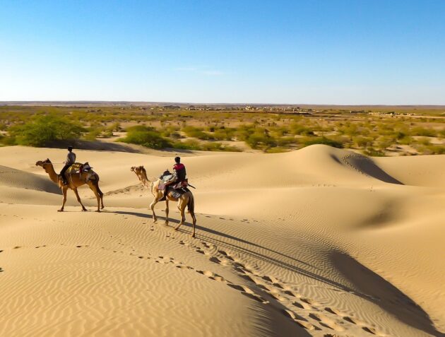 Desert Safari