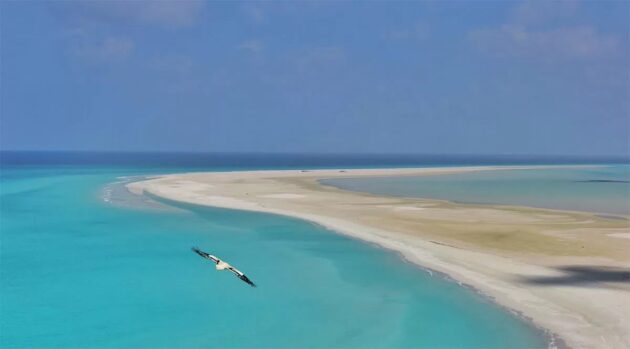 Detwah Lagoon Ramsar Site