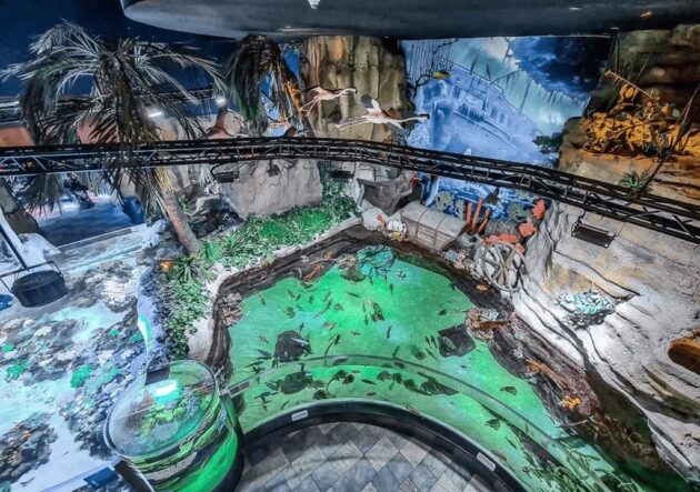 Dubai Aquarium & Underwater Zoo