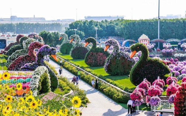 Dubai Miracle Garden