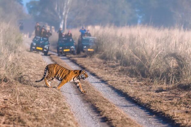 Jim Corbett National Park