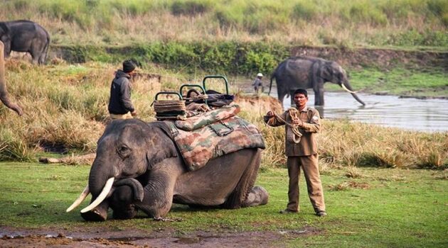 Jim Corbett National Park