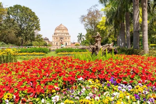 Lodhi Garden