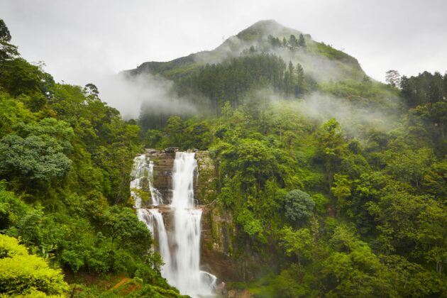 Nuwara Eliya