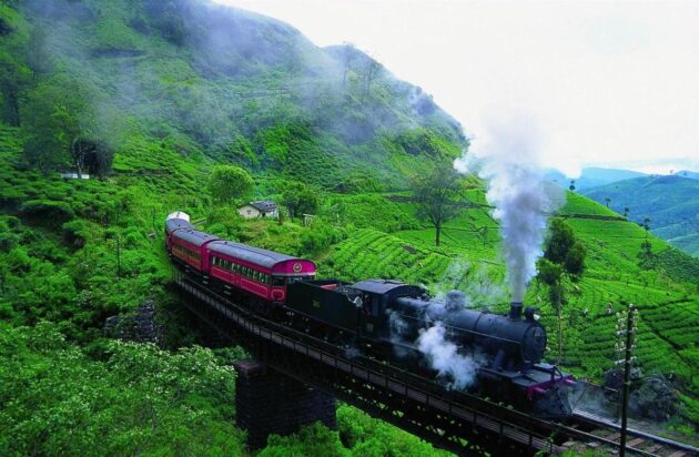 Nuwara Eliya