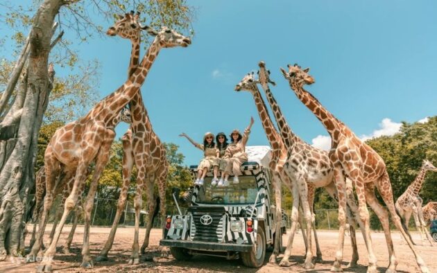 Safari World