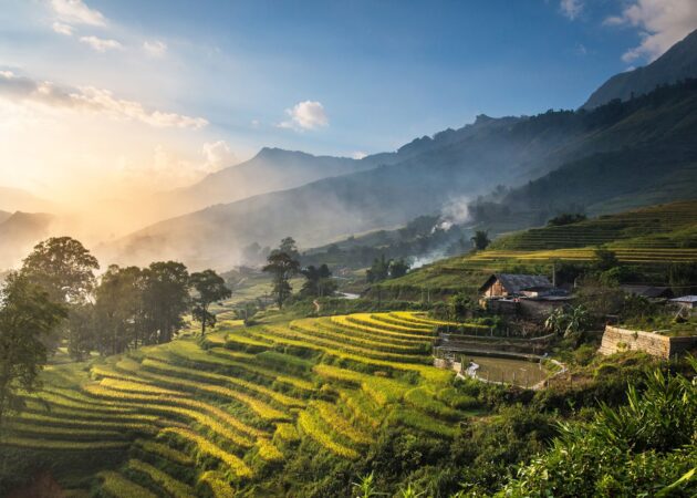 Sapa