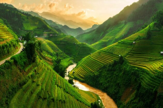 Sapa