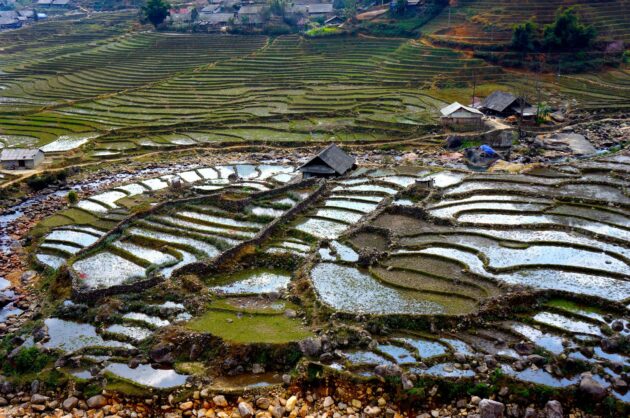 Sapa