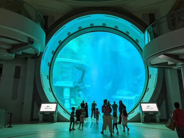 SeaWorld Abu Dhabi