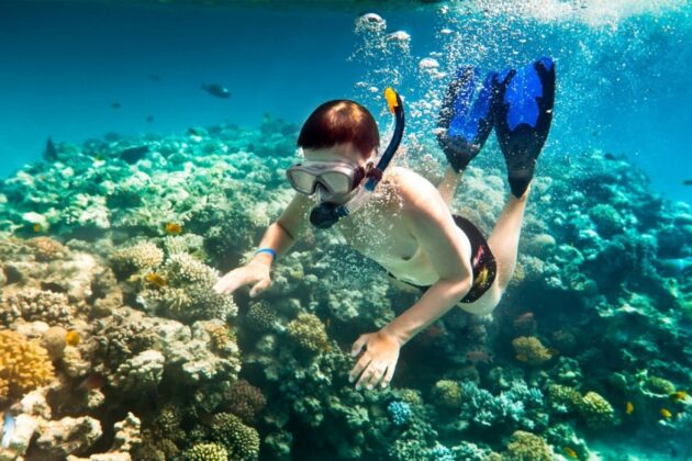 Snorkeling Nha Trang