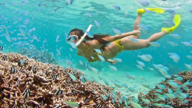 Snorkeling Nha Trang