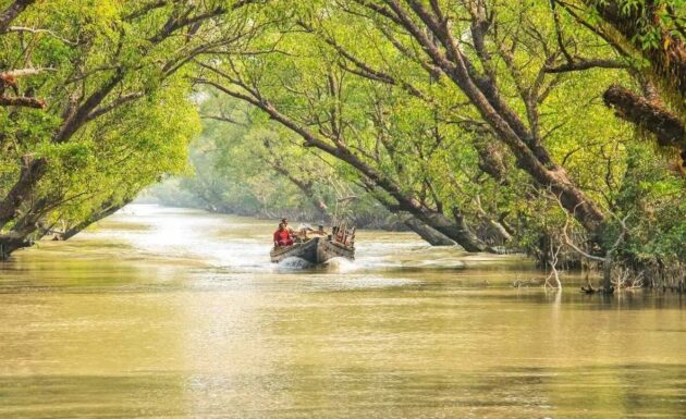 Sundarbans National Park