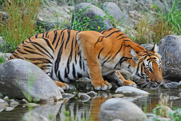 Sundarbans National Park