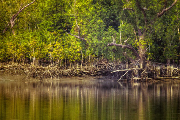 Sundarbans National Park