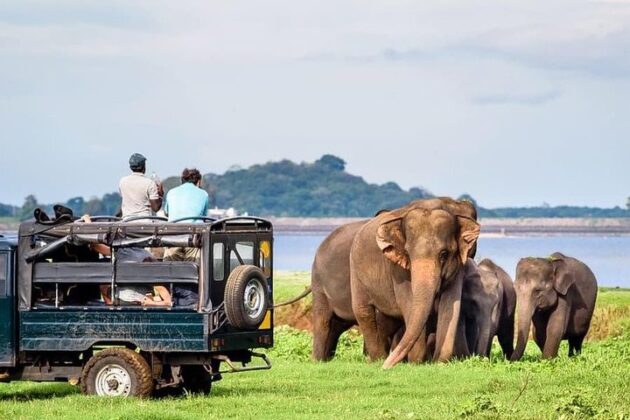 Udawalawe National Park
