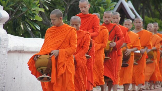 Witness the Morning Alms-Giving Ceremony