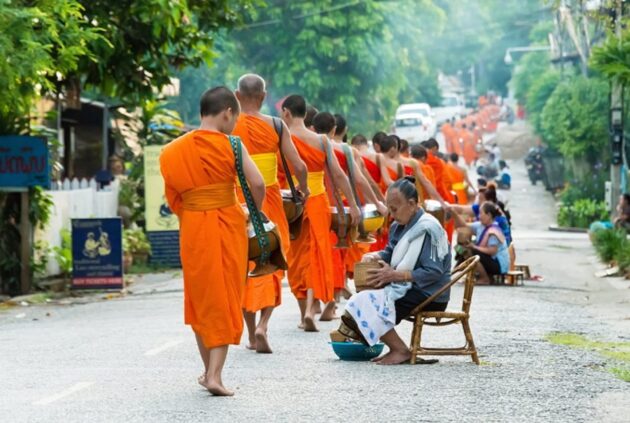 Witness the Morning Alms-Giving Ceremony