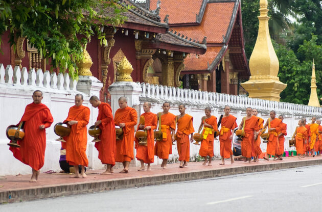 Witness the Morning Alms-Giving Ceremony
