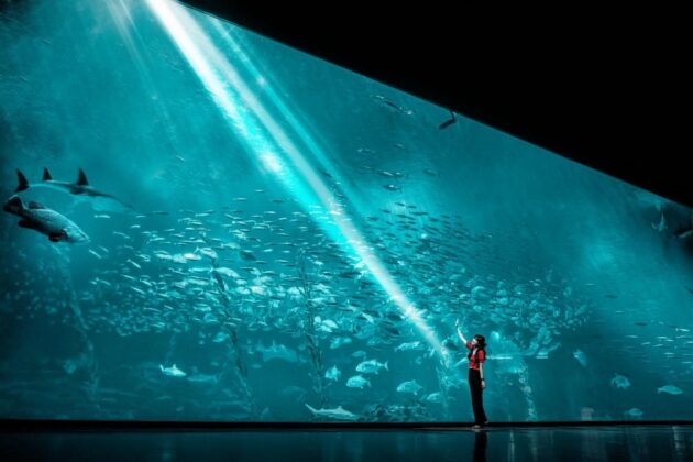 Aqua Planet Jeju