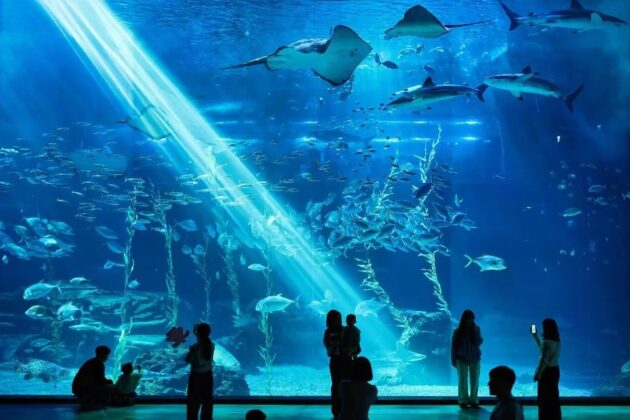 Aqua Planet Jeju