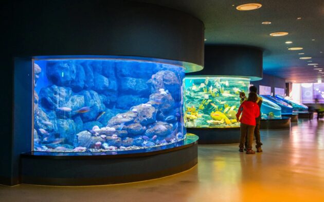 Aqua Planet Jeju