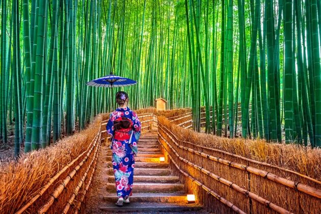 Arashiyama Bamboo Forest