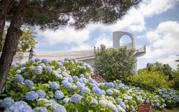 Camellia Hill Botanical Garden