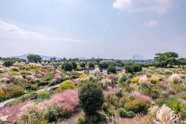 Camellia Hill Botanical Garden