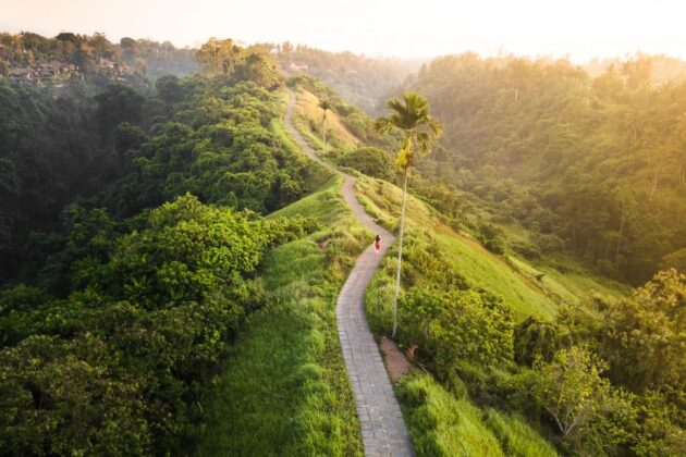Campuhan Ridge Walk