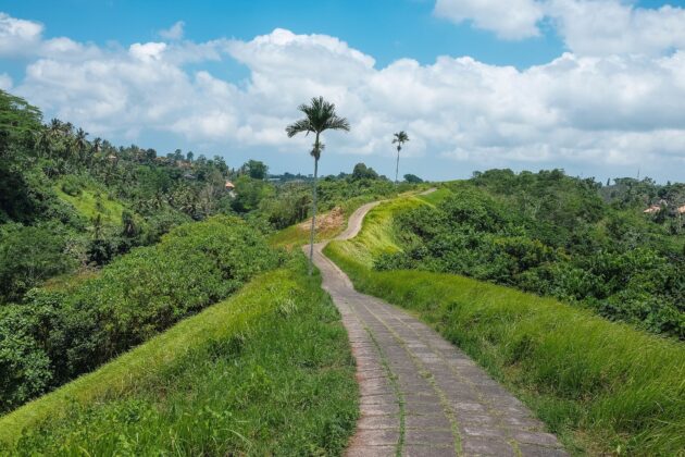 Campuhan Ridge Walk