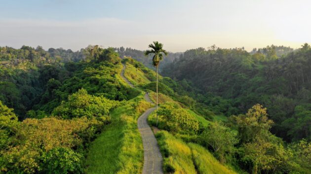 Campuhan Ridge Walk