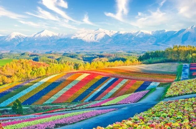Furano