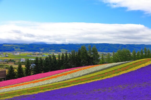 Furano