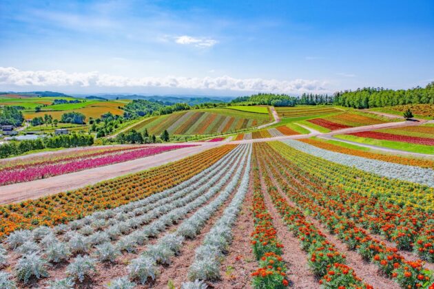 Furano