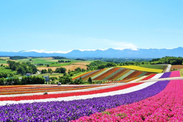 Furano