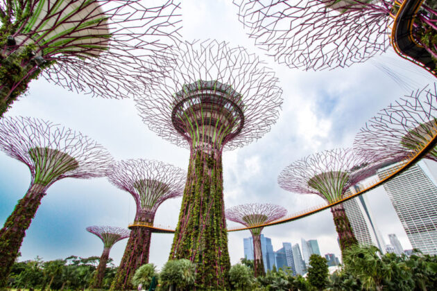 Gardens by the Bay