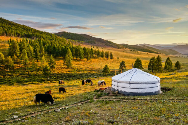 Gorkhi-Terelj National Park